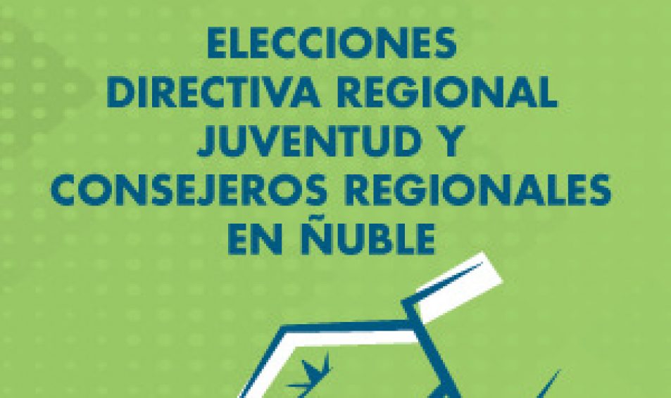 Elecciones Ñuble: Conoce las listas de directiva regional, Juventud y Consejeros Regionales